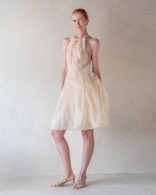 Elytra Dress