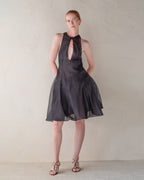 Elytra Dress
