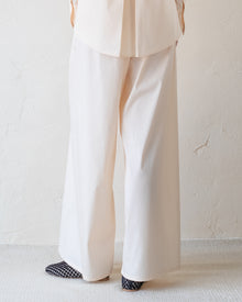 Traveler Pants